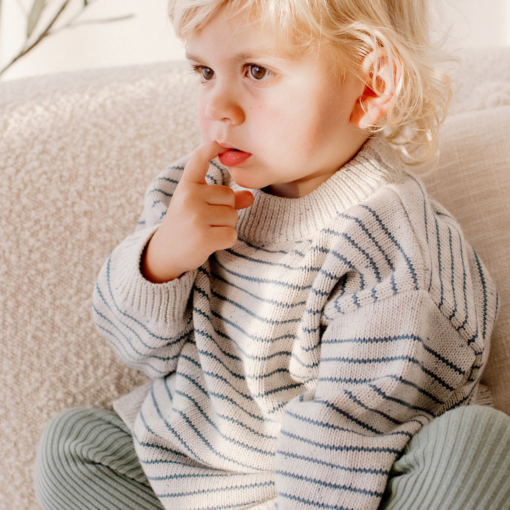 Organic Cotton Knit Jumper - Navy Stripe - The Rest